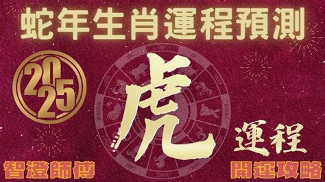 乙巳年生肖|2025乙巳蛇年哪些生肖犯太歲？明年運勢、禁忌、最佳化解時間。